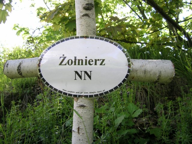 photo6.jpg