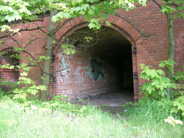 photo8.jpg
