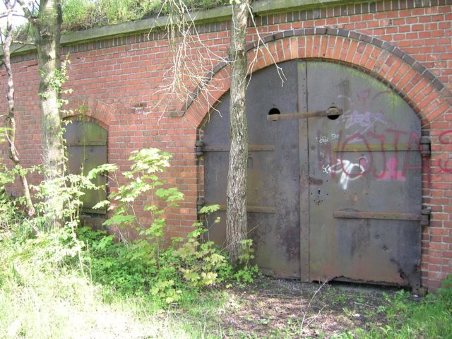 photo9.jpg