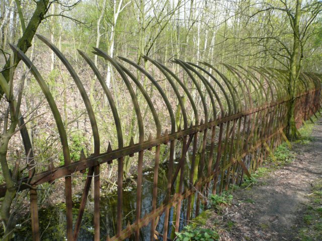 photo13.jpg
