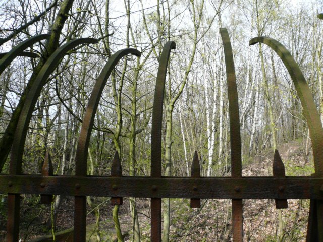 photo14.jpg