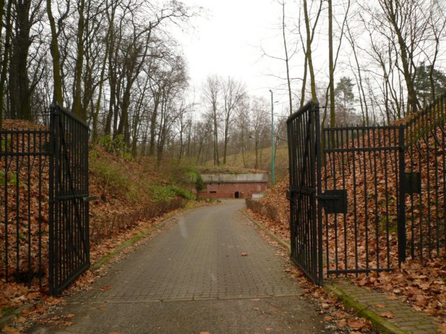 photo.jpg