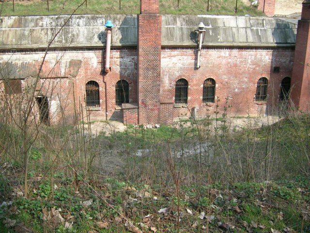 photo15.jpg