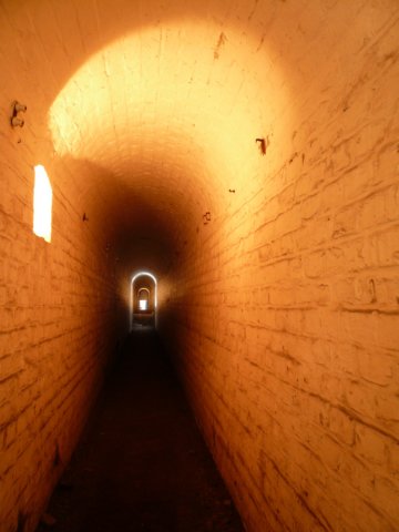 photo27.jpg