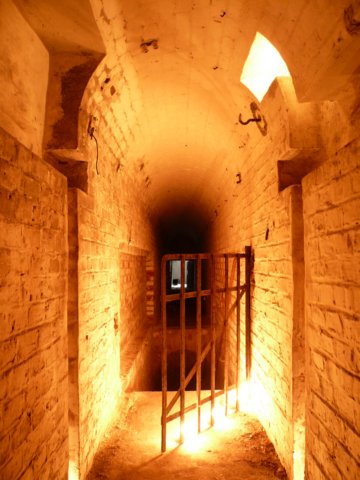 photo29.jpg