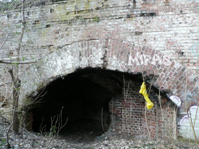 photo16.jpg