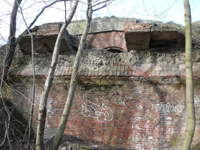 photo20.jpg