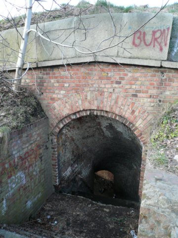 photo23.jpg