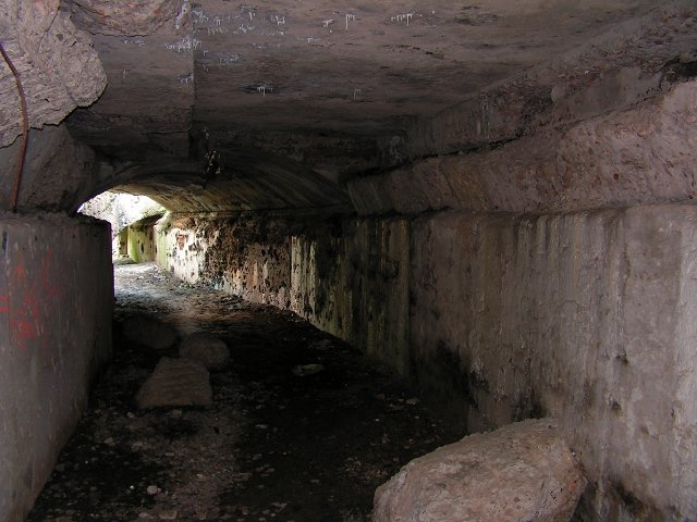 photo11.jpg