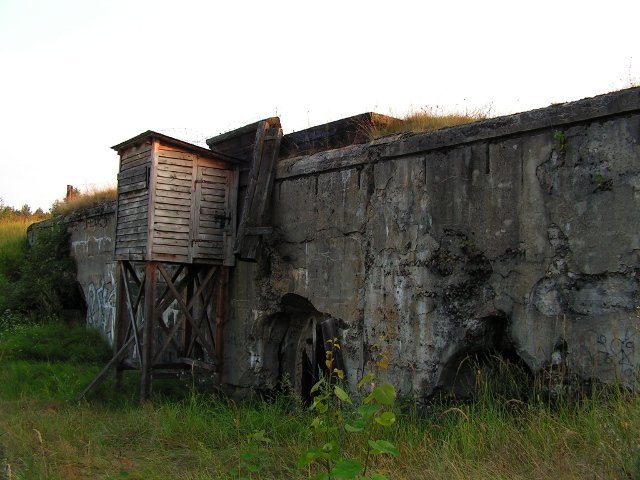 photo3.jpg