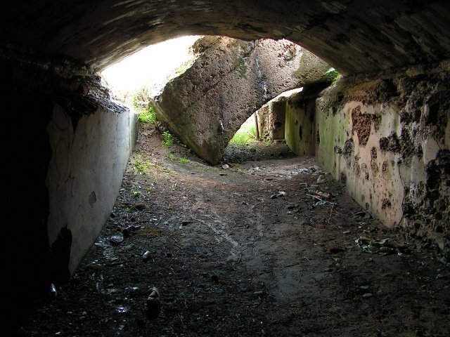photo5.jpg