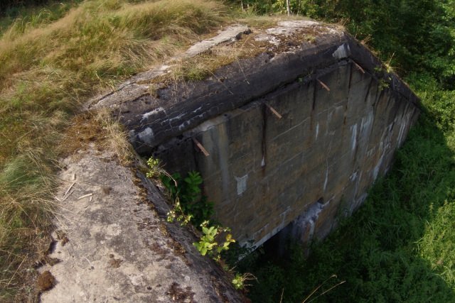 photo4.jpg