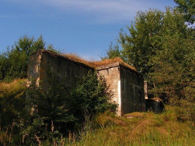 photo14.jpg
