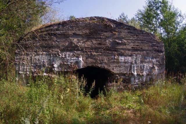 photo2.jpg