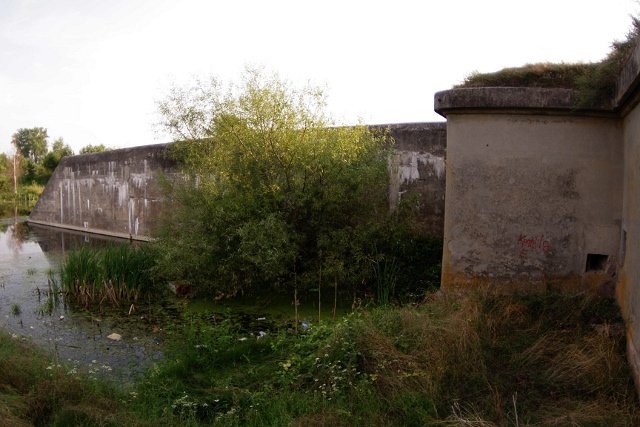 photo11.jpg