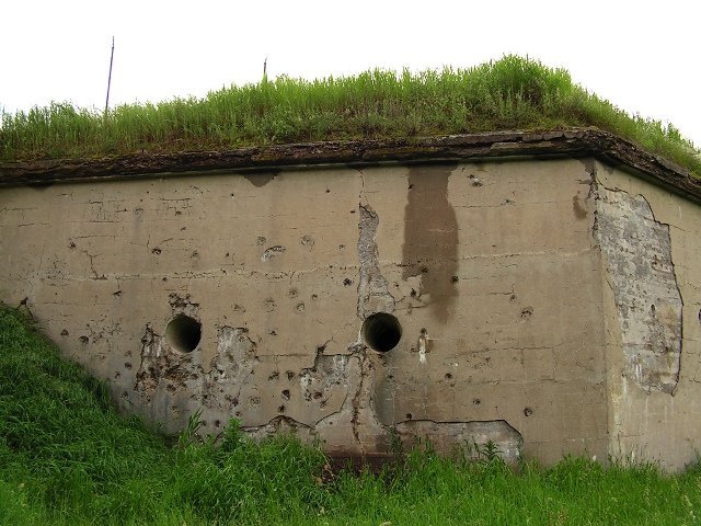 photo7.jpg