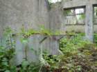 photo7_small.jpg