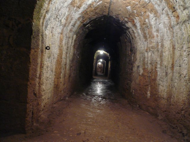 photo14.jpg