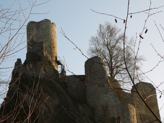photo4.jpg