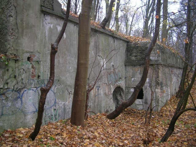 photo.jpg