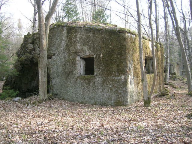 photo10.jpg