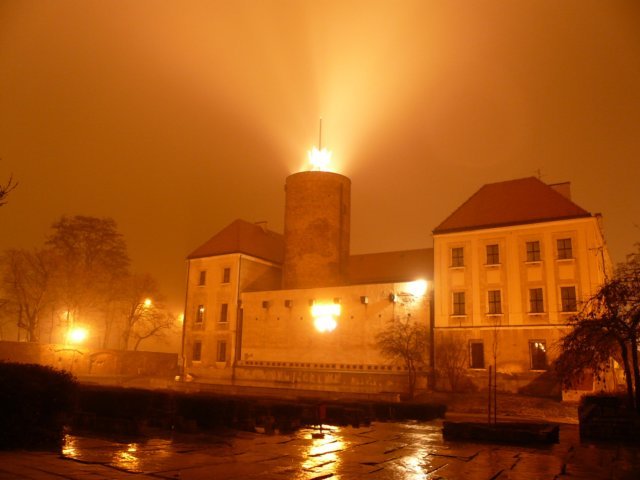 photo3.jpg