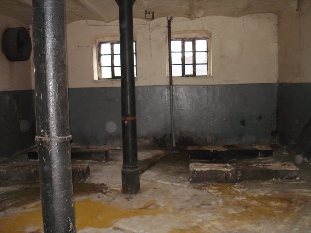 photo3.jpg