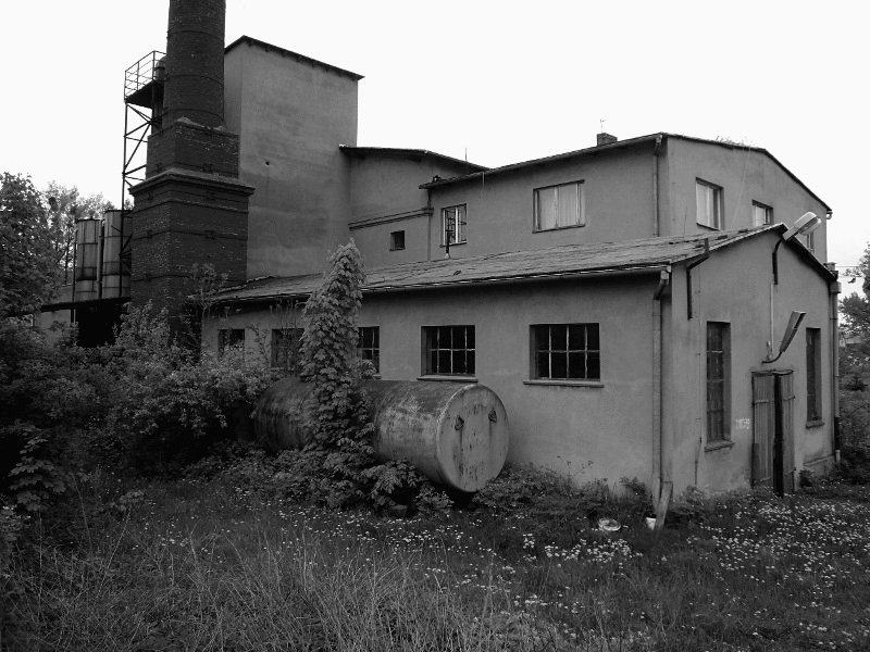 photo.jpg