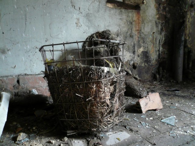 photo5.jpg