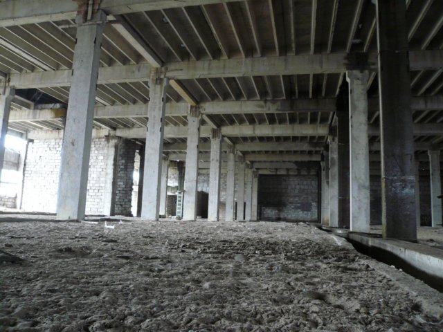 photo3.jpg