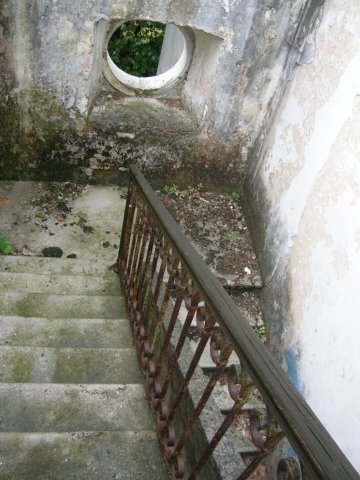 photo10.jpg