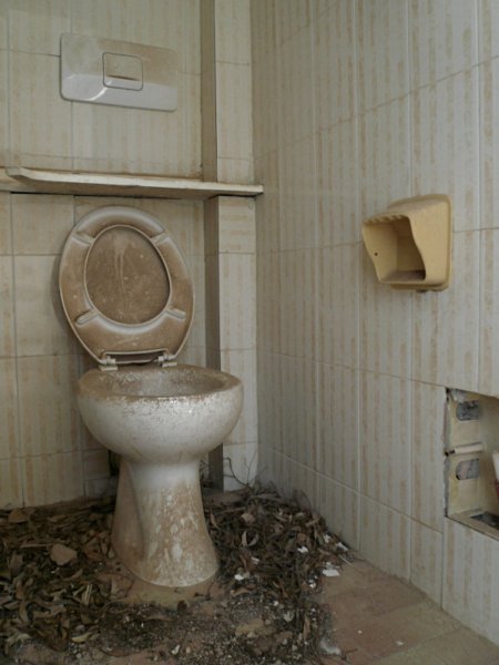 photo8.jpg