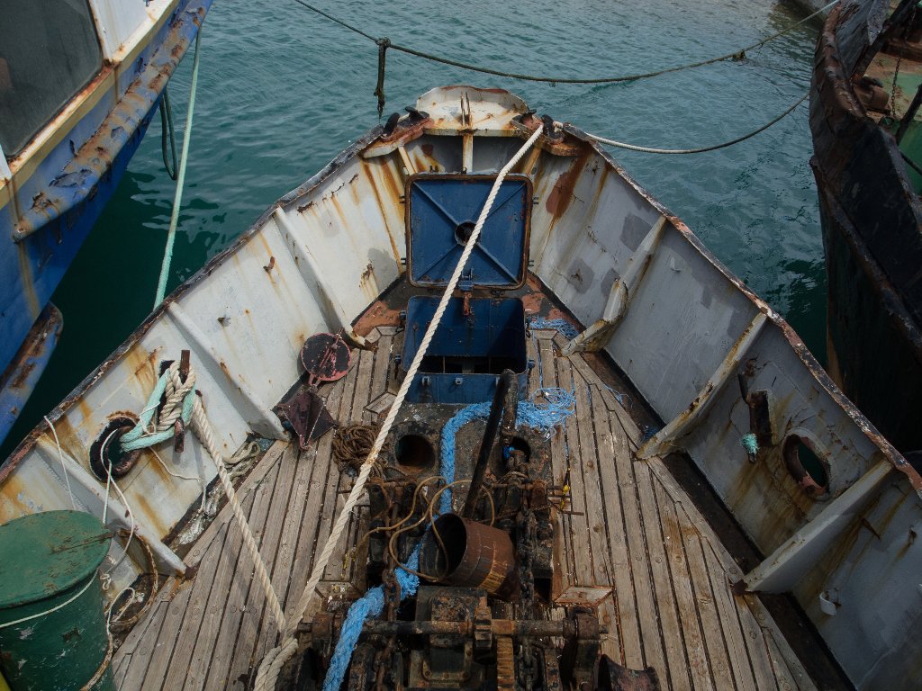 photo4.jpg