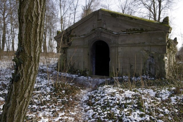 photo4.jpg