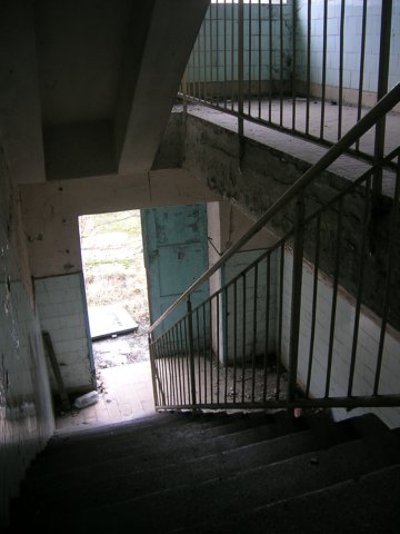 photo11.jpg