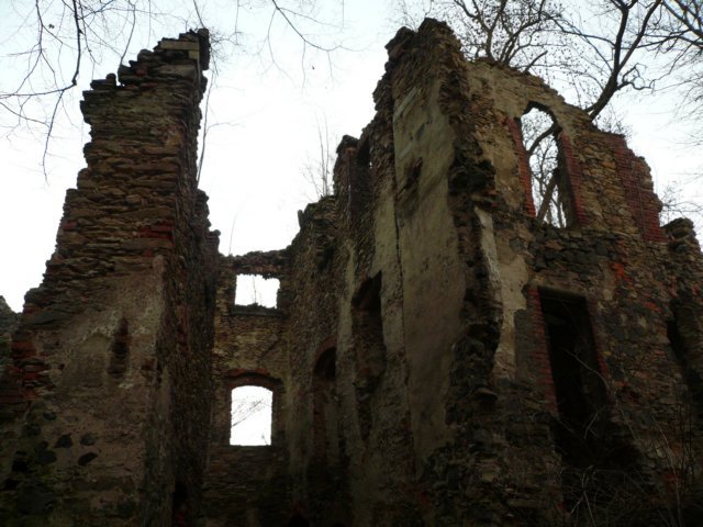 photo4.jpg