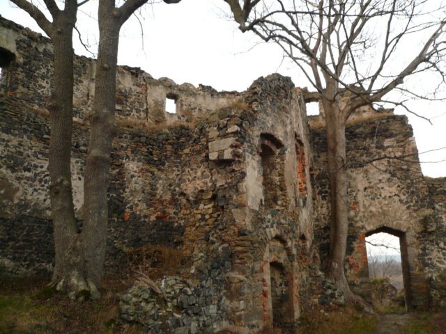 photo7.jpg