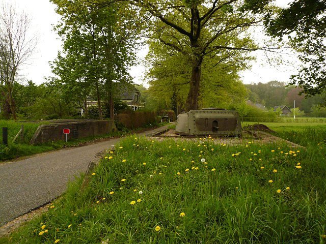 photo.jpg