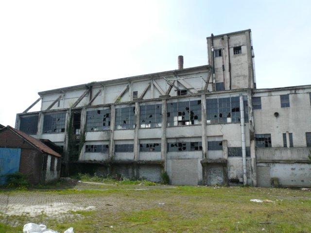 photo.jpg