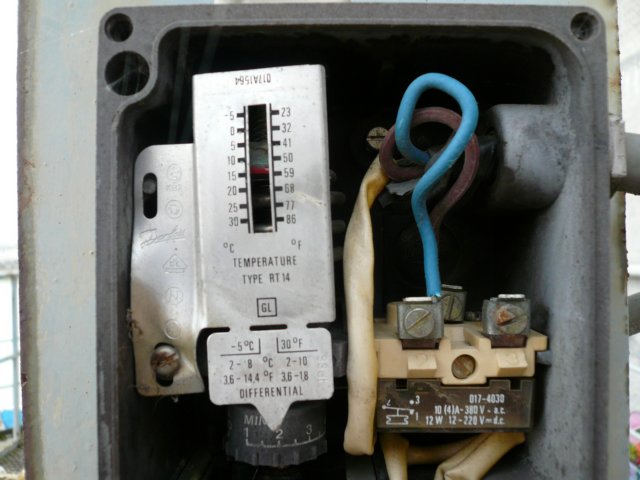 photo16.jpg