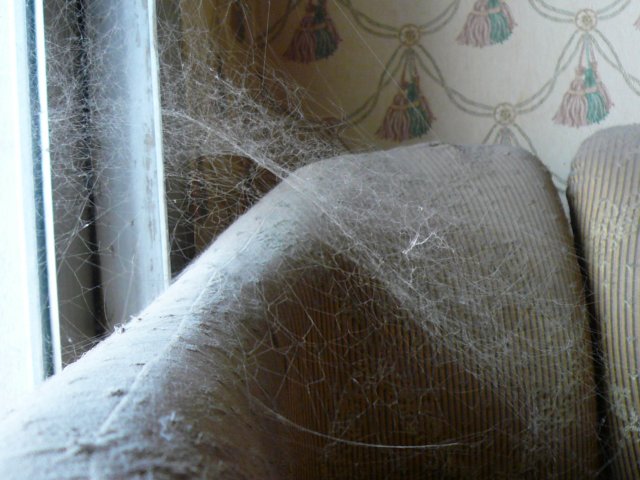photo23.jpg