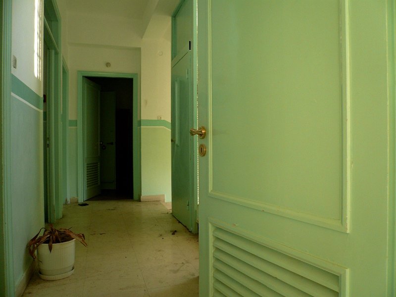 photo10.jpg