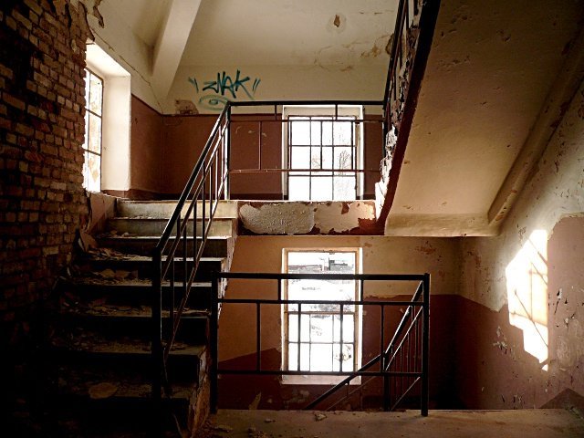 photo11.jpg