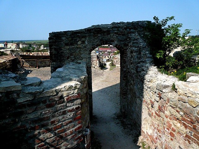 photo8.jpg