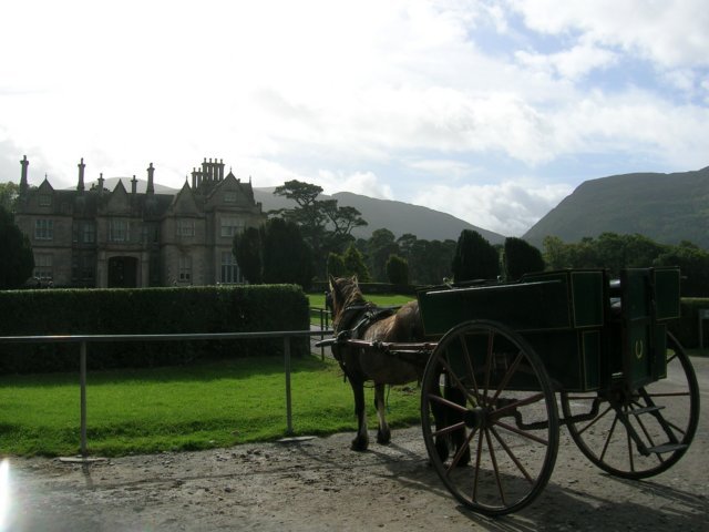 photo3.jpg