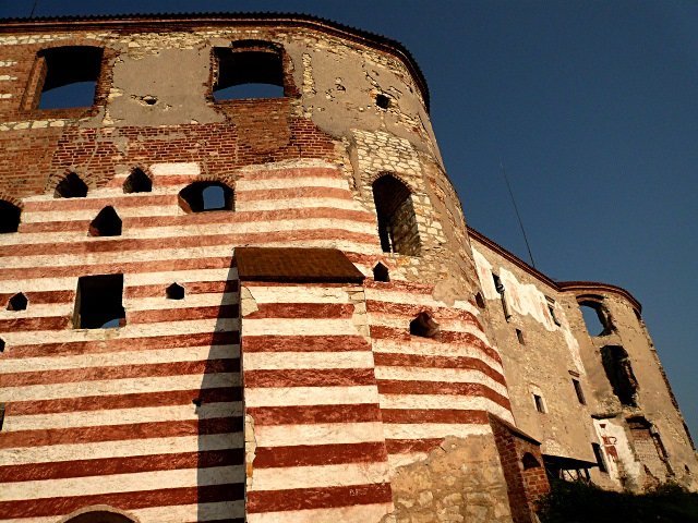 photo6.jpg