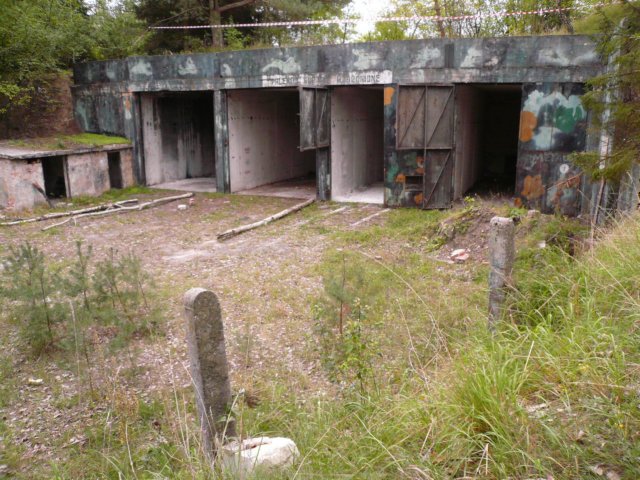 photo11.jpg