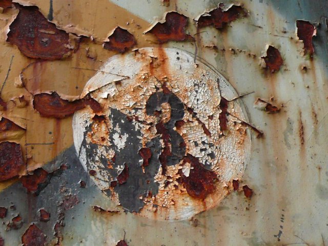 photo8.jpg