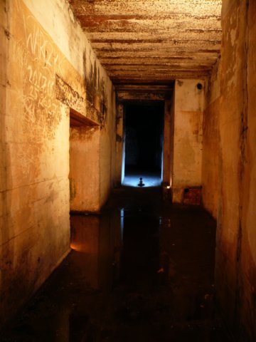 photo7.jpg