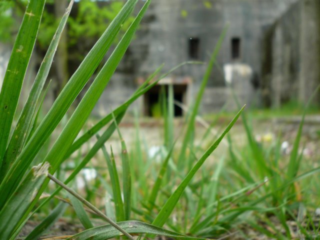 photo10.jpg